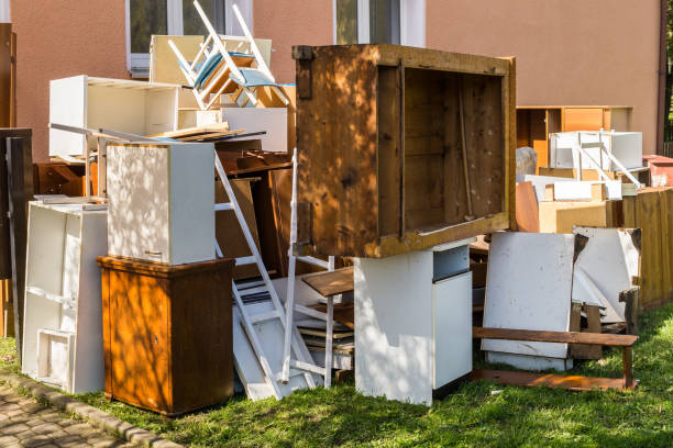 Best Electronics and E-Waste Disposal  in Little Falls, MN